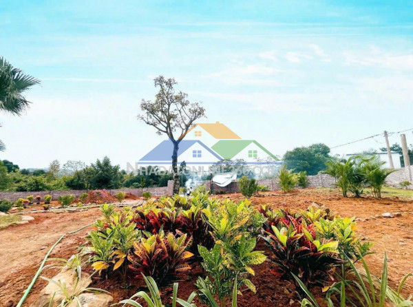 Bán nhanh giá đầu tư 14tr 863m yên xuân quốc oai sát trục chính view thoáng mát đường 3 ôtô