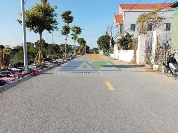 Bán đất mặt tiền tại triệu việt vương, tân dân, hưng yên