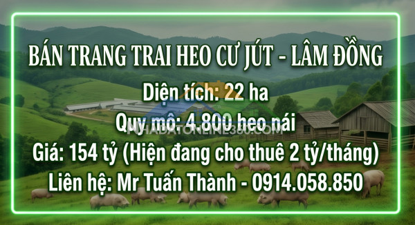 Siêu trang trại heo 22ha - thu nhập cho thuê 24 tỷ/năm
