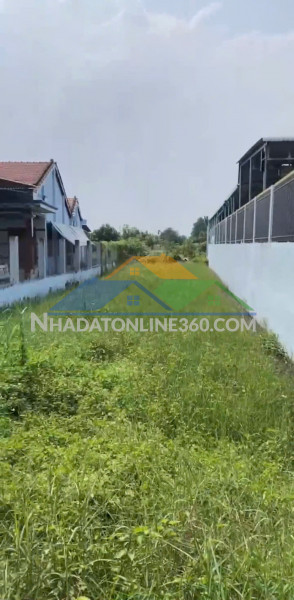 Chính chủ bán 1000m2 đất tại ấp 5, tân hòa, huyện bến lức, long an