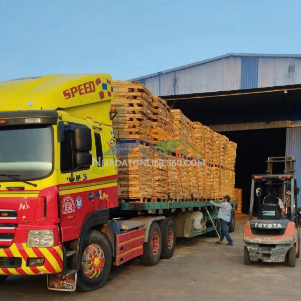 Xn294 nhà xưởng sản xuất linh hoạt thời gian thuê, phục vụ sx ngày đêm. nguồn điện lớn
