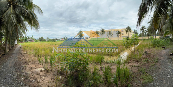 Chính chủ cần bán đất vị trí đẹp cạnh trường tiểu học nguyễn thị tốt – gò công tây, tiền giang