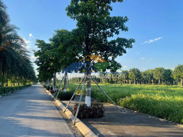 ►  mik phố nối – “ecopark” mới của mỹ hào, hưng yên
