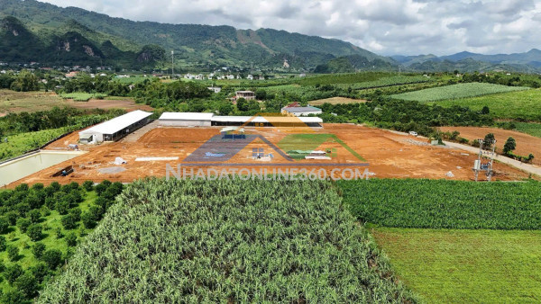 Em sẵn 3 lô đât đẹp full ont  - tại: dũng phong - cao phong - mặt tiền: 8m