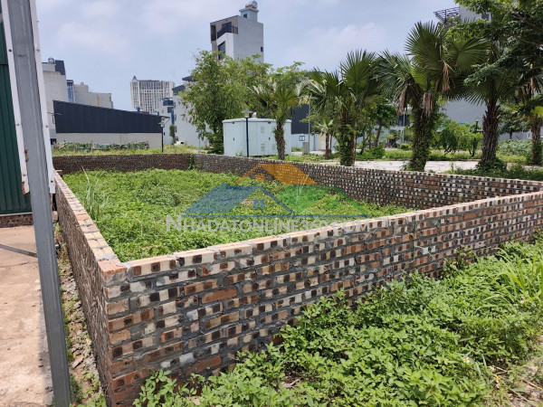 Hoài đức, nhiều người tìm vân canh – nhưng không phải lô nào...