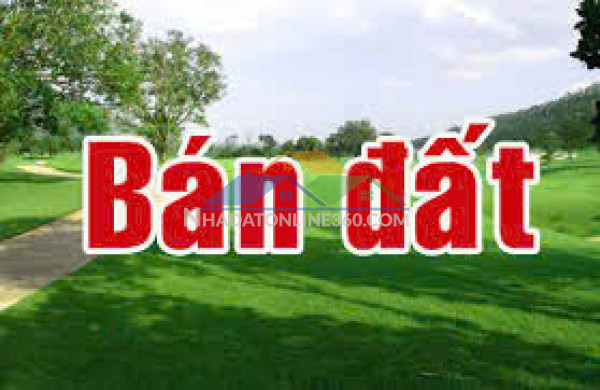 Chính chủ bán đất vườn đẹp  vị trí tiềm năng tại củ chi, hồ chí minh