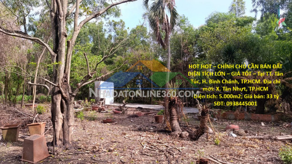 Hot hot – chính chủ cần bán đất diện tích lớn – giá tốt – tại tt. tân túc, h. bình chánh, tp.hcm