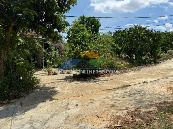 Cần bán gấp lô đất nhà vườn đẹp tại thôn 5 hà mòn – ngay đầu đường đôi đăk hà.
