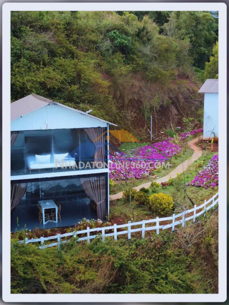 Cho thuê tổ hợp cafe & homestay tại vạn thành, đà lạt