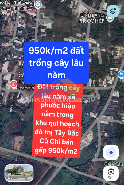 Bán gấp 14.250m² đất trồng cây lâu năm tại xã phước hiệp,...