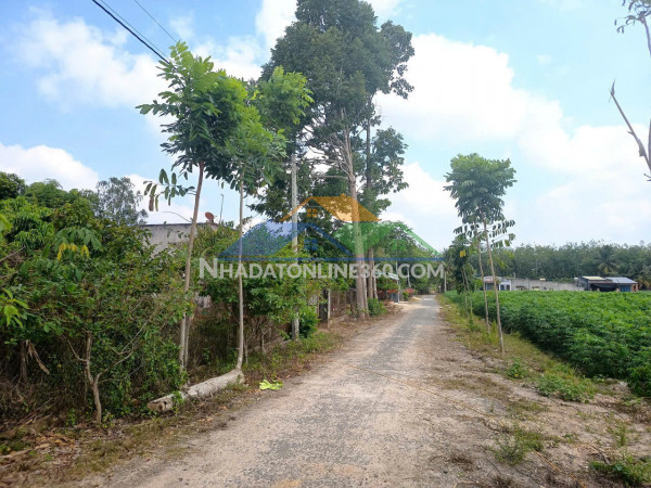 Bán đất tây ninh – vị trí đẹp – đường nhựa 6m – giá tốt