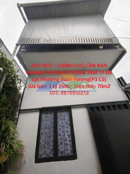 Hot hot – chính chủ cần bán nhanh căn nhà trung tâm tp đà lạt phường xuân hương(p3 cũ)