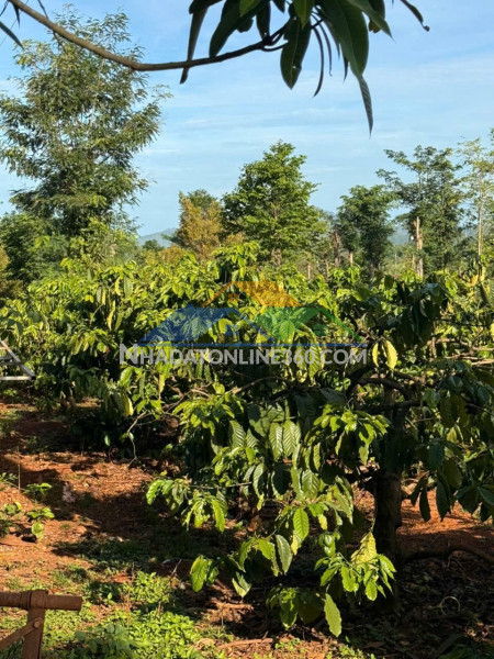 Đất đẹp - giá tốt - bán gấp lô đất tiềm năng tại xã ea...