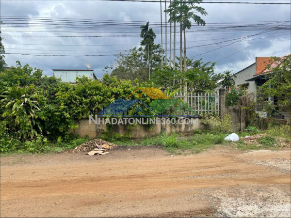 Bán đất long phước – long thành, đồng nai