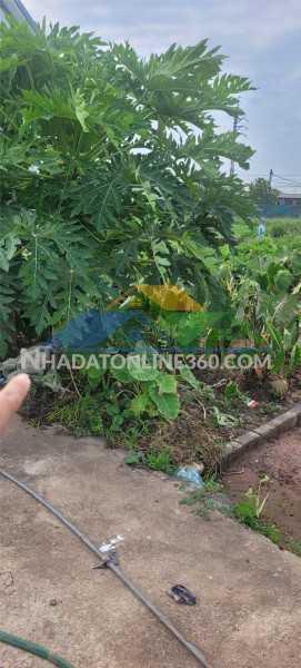 Đất đẹp- giá ưu đãi chính chủ bán nhanh lô đất tại huyện thường tín, tp hà nội