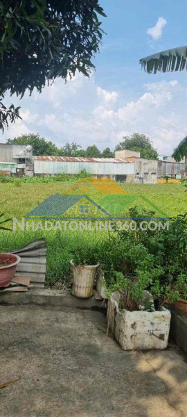 Bán 1.950m² đất nông nghiệp quy hoạch đất ở - hẻm xe hơi - giá chỉ 7,8 triệu/m² tại hóc môn