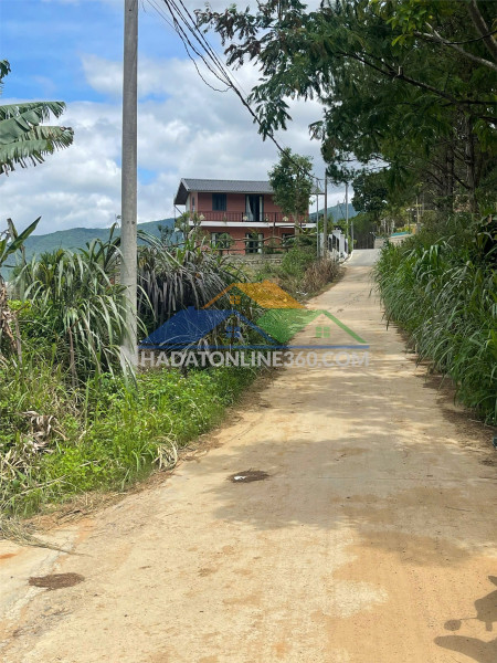 Hot hot – chính chủ cần bán đất mặt tiền bê tông – vị trí đẹp – tại huyện đơn dương, lâm đồng