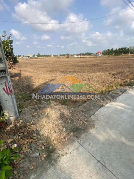 Chính chủ cần bán 1800m2 đất lúa tại phạm văn chính , xã mỹ...