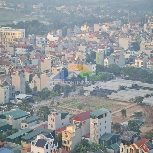 100m2 mặt phố cửu việt trâu quỳ giá đầu tư kinh doanh mọi loại hình.   0392248515