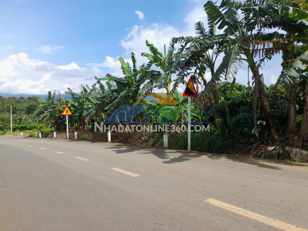 Bán gấp 3771m2 đất thổ cư tại tân lạc, hòa nam, di linh, lâm...