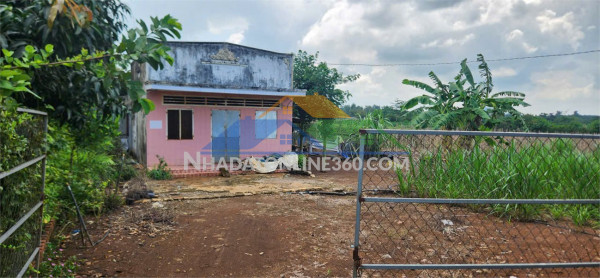 Bán đất mặt tiền đường nhựa xuân tây, cẩm mỹ – 8.357m² – giá 8,6 tỷ - có thương lượng