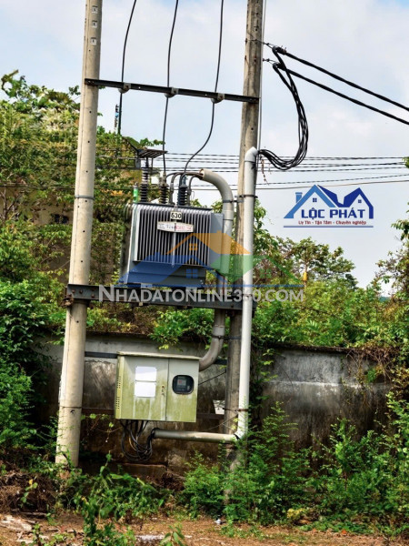Cho thuê kho, nhà xưởng tại Phường Phước Tân, Thành phố Biên...