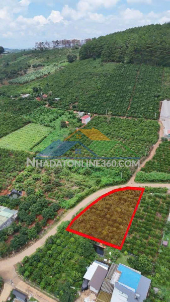Cần bán lô đất đẹp – vị trí tiềm năng tại xã mê linh - tỉnh lâm đồng