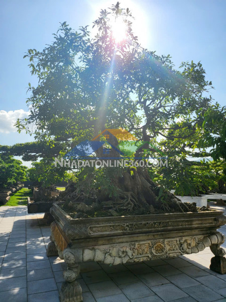 Tìm bạn nữ nhân viên văn phòng ở ghép căn hộ master the tresor...
