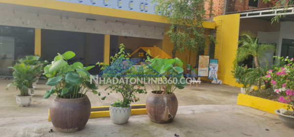 Chính chủ cho thuê mặt bằng kinh doanh và nhà ở hơn 500m² –...