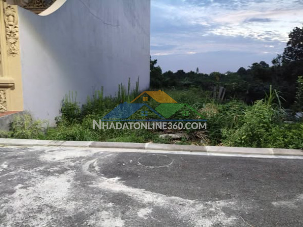 Đất giãn dân bắc hồng, 150m2, mt6m, 2 ô tô tránh, 8.98 tỷ, đông anh.