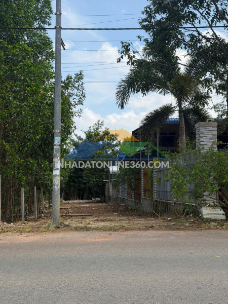 Cơ hội đầu tư giá tốt chỉ 1,8 tỷ sở hữu ngay đất nền 500m² hồ tràm, hồ chí minh