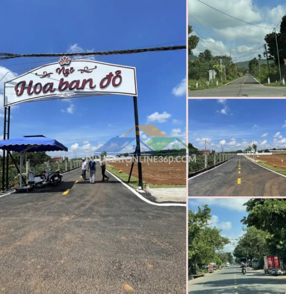 Bỏ phố về rừng – sở hữu ngay đất cạnh sân bay liên khương -sát vách đà lạt