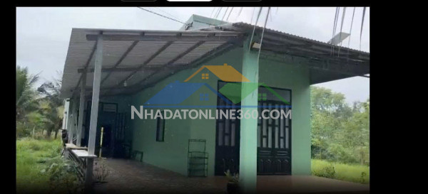 Chính chủ bán hoặc cho thuê nhà vườn 1.600m² – không gian xanh...