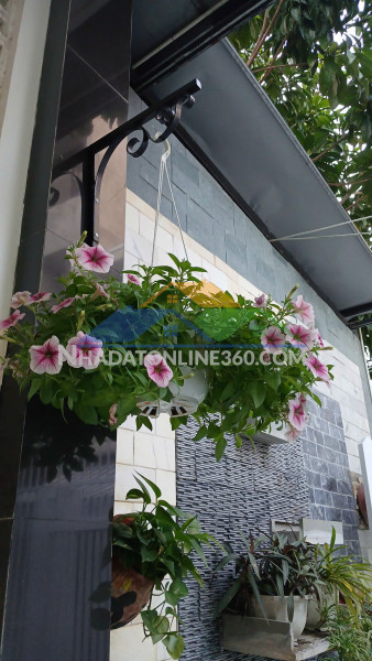♥ thẳng 25m ra mt trần xuân lê, 135m2, ngang 6m, vuông, sân rộng...