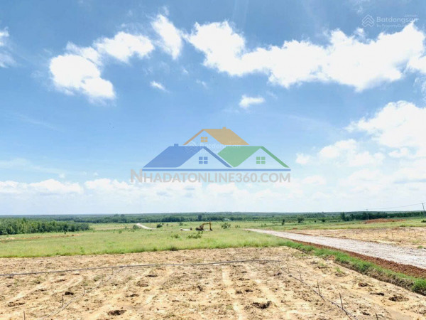 Cần bán 40 ha đất quy hoạch đất ở nông thôn – ven hồ dầu tiếng