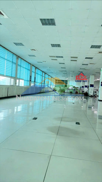 Xt168 cho thuê nhà xưởng sx linh hoạt nhiều ngành nghề, tập chung...