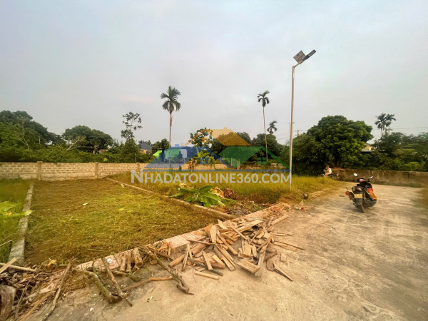 Chính chủ cần bán đất thượng trang – bát trang, an lão, hải phòng
