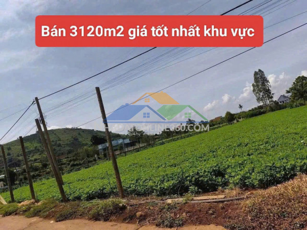 Bán 3120m2 đất xã tân hội đức trọng lâm đồng 4 tỷ
