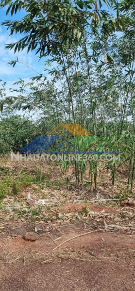 Chính chủ bán đất đẹp giá giảm chỉ còn 1,5 tỷ – 135 m², long hòa, cần đước, long an