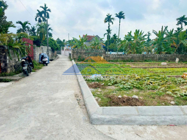Sở hữu ngay lô đất đẹp - giá tốt - vị trí đắc địa tại tổ dân phố 8 - phường lưu kiếm - hải phòng