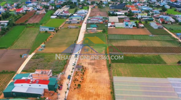 Ngõ đồng dao (trục thống nhất rẽ vào), xã đức trọng, lâm đồng.