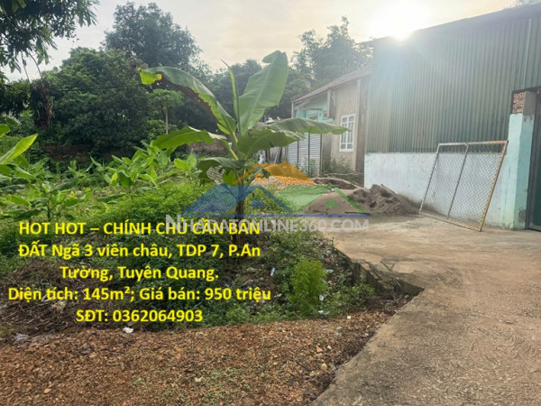 Hot hot – chính chủ cần bán đất ngã 3 viên châu, tdp 7, p.an tường, tuyên quang
