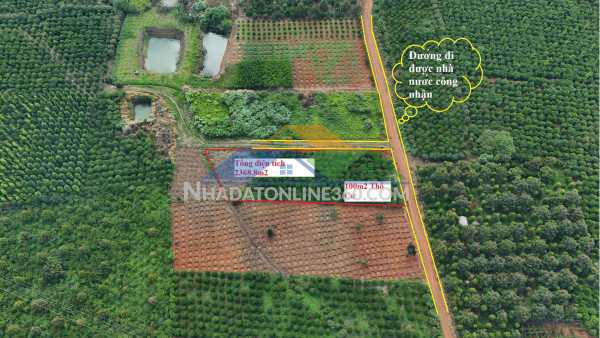 Sở hữu ngay lô đất đẹp - giá tốt - vị trí đắc địa tại xã ninh gia, huyện đức trọng, lâm đồng