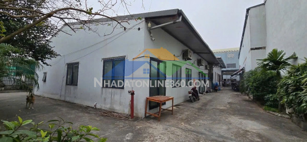 Chính chủ bán siêu phẩm đất kcn ninh hiệp gia lâm 1.200m2 - đường container 15m, sẵn kho xưởng