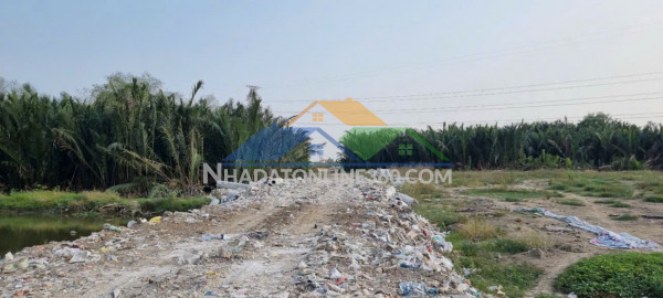 Chính chủ bán 5.425m² đất cln giáp quận 7 – giá chỉ 5,7...