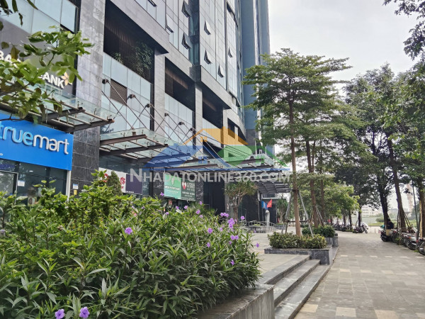 Bán sh sunshine city dòng tiền 660 triệu/năm từ shophouse ciputra.
