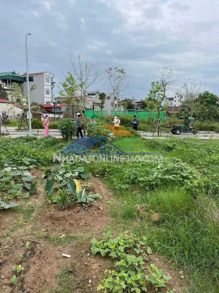 Rẻ nhất khu tái định cư thư lâm, đông anh - vị trí đẹp - gia đình cần vốn nên bán gấp