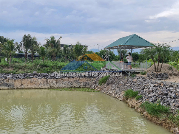 Bán farm diên thọ - khánh hoà 1.7ha giá 480k/m2. cây ăn trái đang khai thác