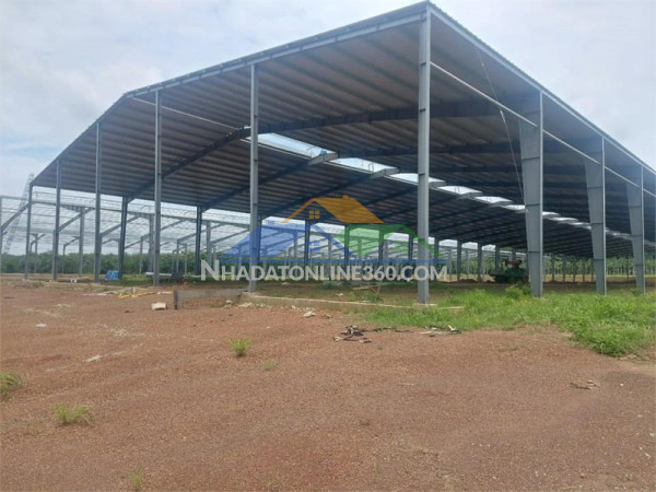 Bán nhà xưởng đã hoàn thiện phần thô, giấy phép đầy đủ...