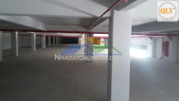 BÁN NHÀ XƯỞNG MỚI XÂY DỰNG – KCN PROTRADE, BẾN CÁT, TP.HCM (BÌNH DƯƠNG CŨ) – 10.993m²
